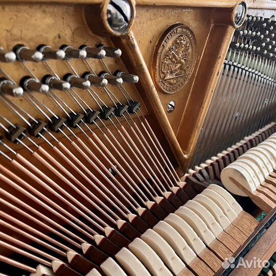 Акустическое пианино Bechstein (комплект)