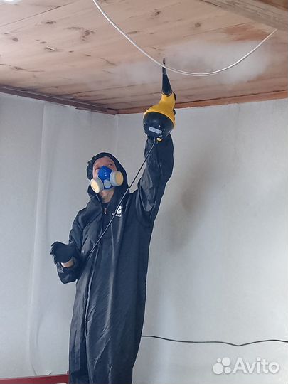 Уничтожение тараканов и клопов дезинфекция