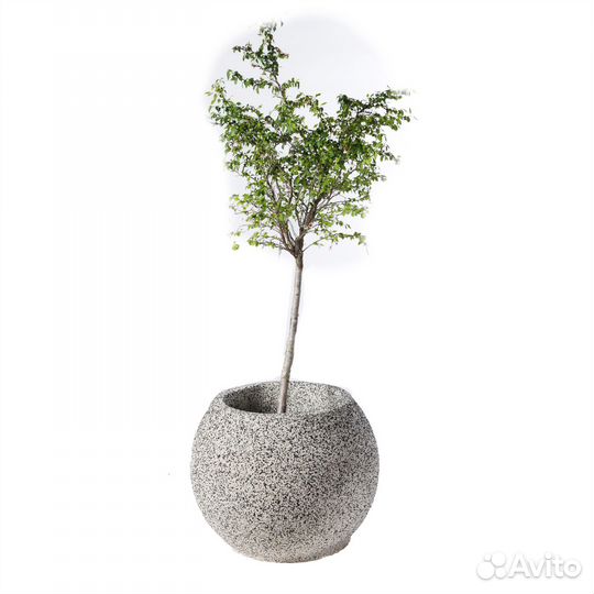 Уличные вазоны