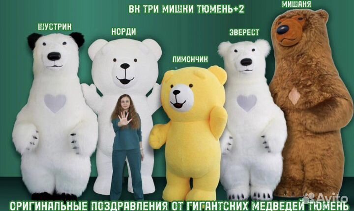 Поздравления, ростовые куклы, три мишки