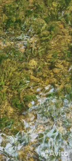 Трансфер, туры