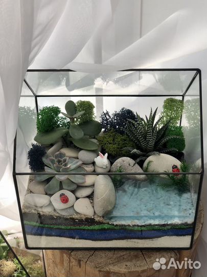 Живые комнатные растения с декором - флорариум