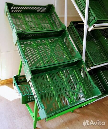 Стеллаж овощной развал