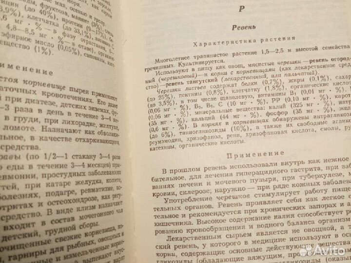 Съедобные целебные растения Кавказа:Справочник