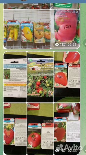 Семена овощных культур