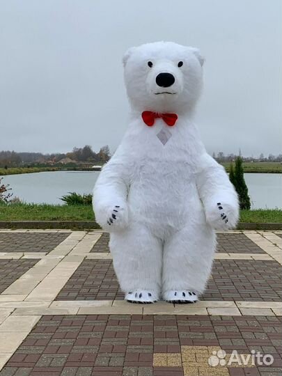 Поздравления от белого медведя