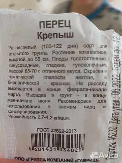 Рассада перца на пикировку Крепыш