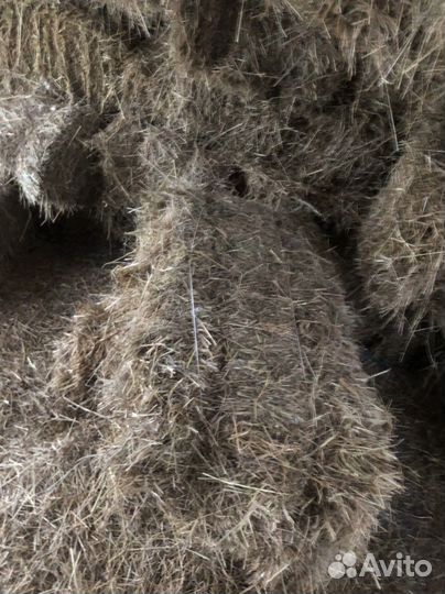 Сено луговое в тюках