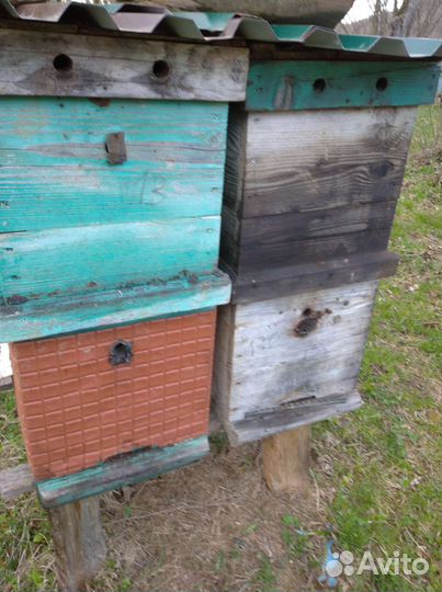 Улики для пчел