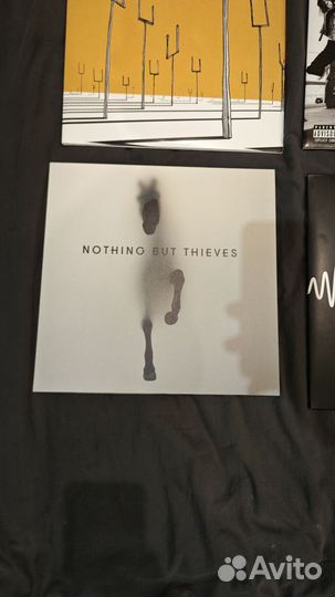 Виниловые пластинки Muse, Artic Monkeys, Placebo