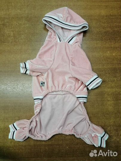 Одежда и обувь для маленьких собак