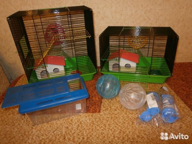 Джунгарские хомяки от заводчика, клетки,шары, корм