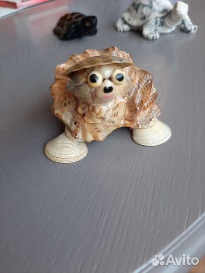 Черепаха в коллекцию