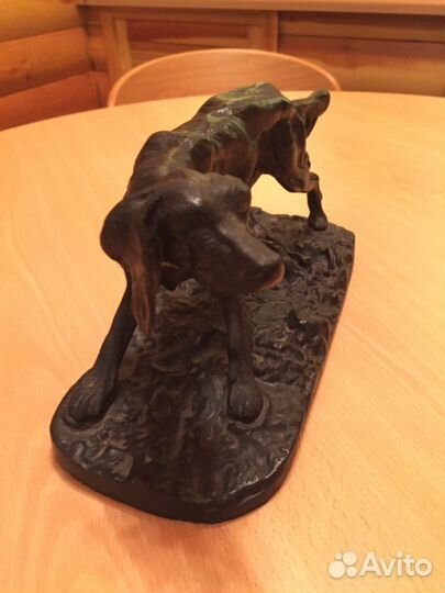 Сеттер куса