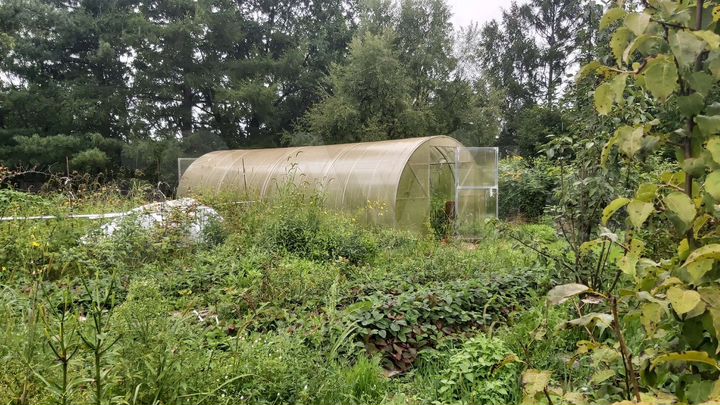 Дом 35 м² на участке 8,7 сот.