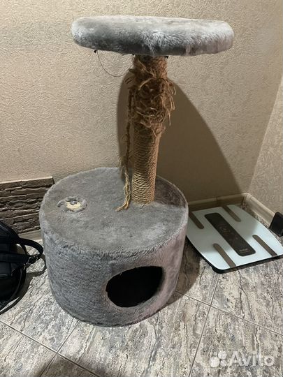 Когтеточка домик для кошки