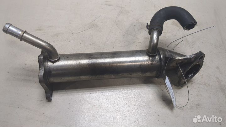 Охладитель отработанных газов Ford Transit 2014, 2