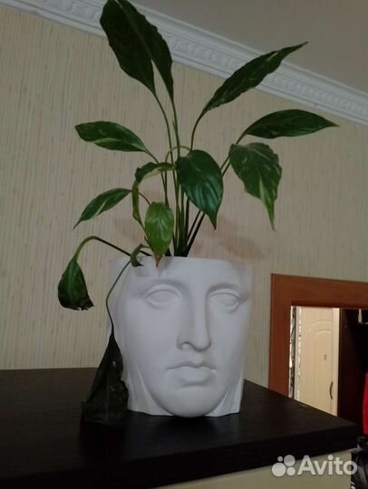 Цветок с горшком