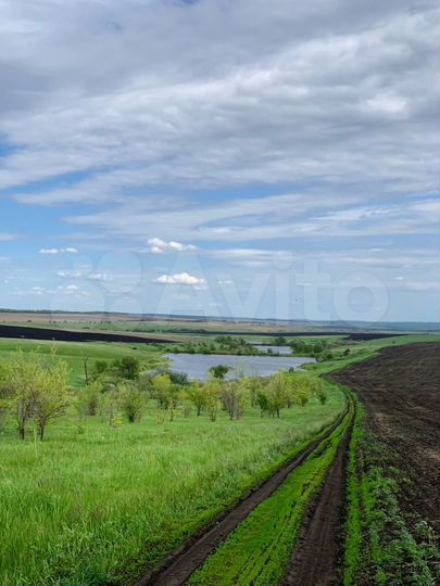 Участок 18 га (СНТ, ДНП)