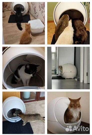 Автоматический лоток для кошек