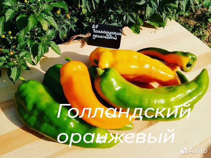 Семена редких сортов сладкого перца