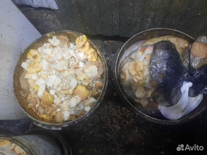 Корма для животных