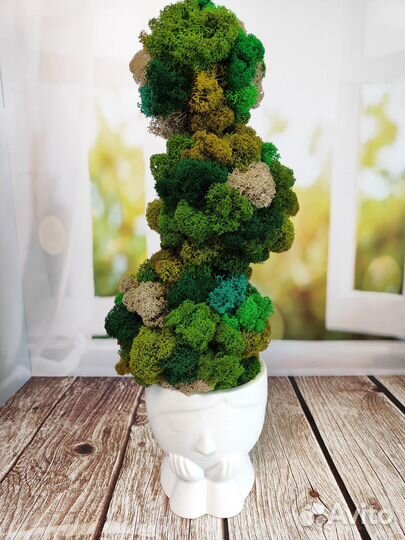 Стабилизированный мох панно, картины, топиарии