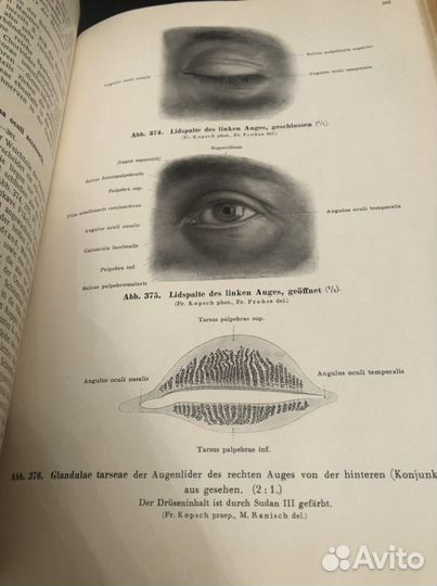 Медицинская литература на иностранном языке