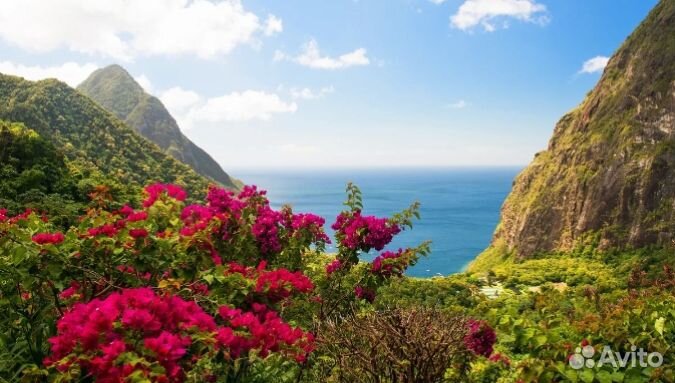 Репетитор по математике 4-9 класс