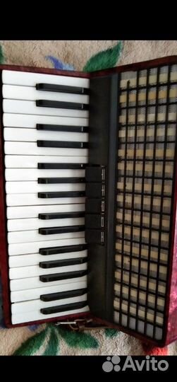 Аккордеон Заря2