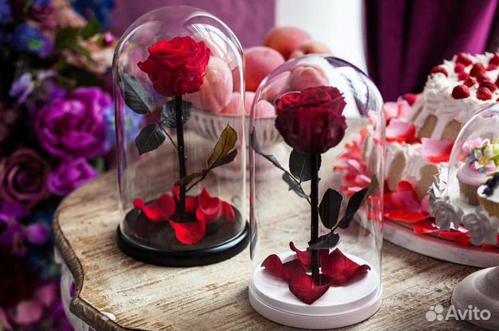 Роза в колбе