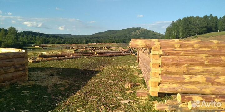 Сруб бани 3х5