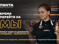 Продавец - консультант (Карельская)