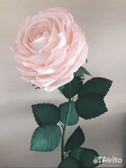 Роза большая ростовая