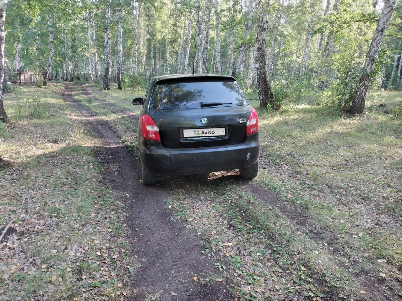 Skoda Fabia: фото владельца