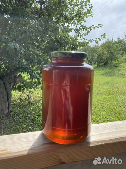 Мед гречишный 2022 года