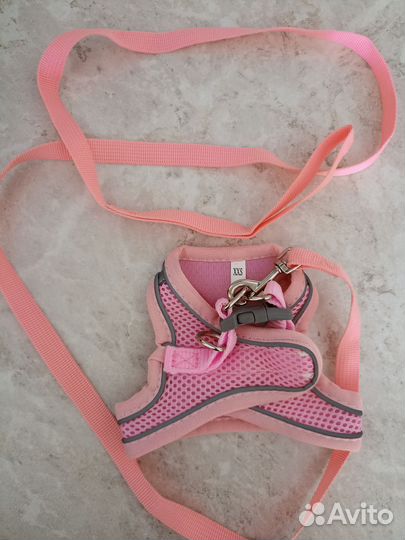 Шлейка для котенка