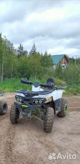 Matoland wild track 200 lux