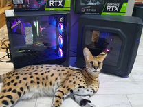 Компьютер игровой RTX 2060 super с Гарантией