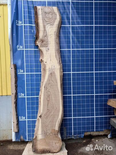 Слэб каповый карагач