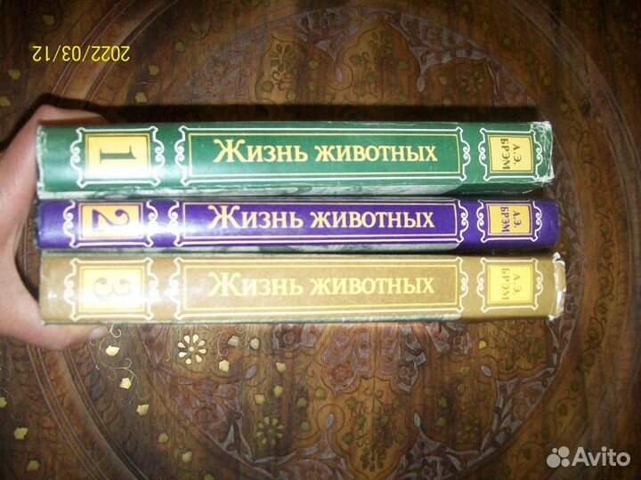 Книги в 3-х томах Брэм 