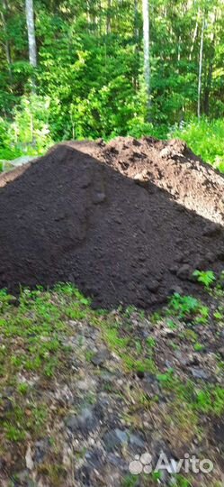 Газонный грунт для газона, Чернозем, навоз, торф