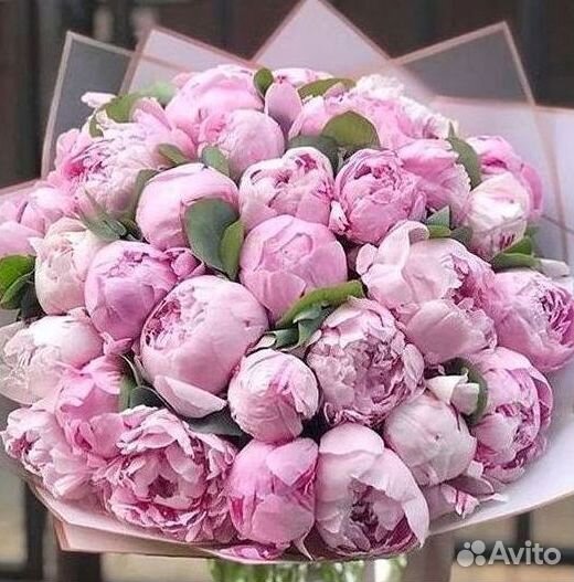 Пионы Букет пионов
