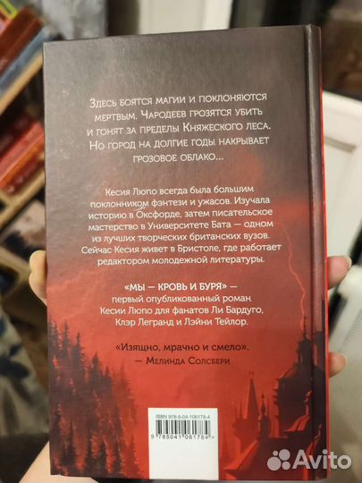 Книга Мы кровь и буря Кесия Люпо