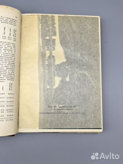 Словарь Гранат