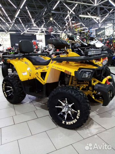 Motolend wild track x 200 pro