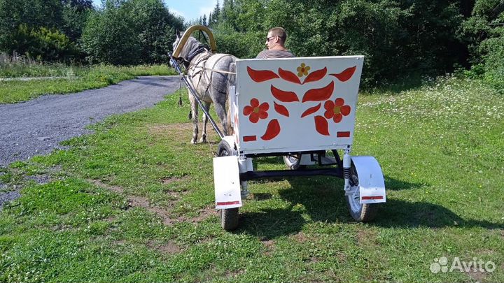 Лошади и Экипаж