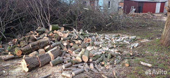 Спил обрезка деревьев