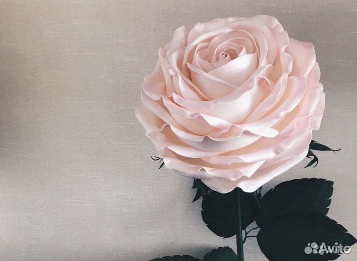 Роза большая ростовая