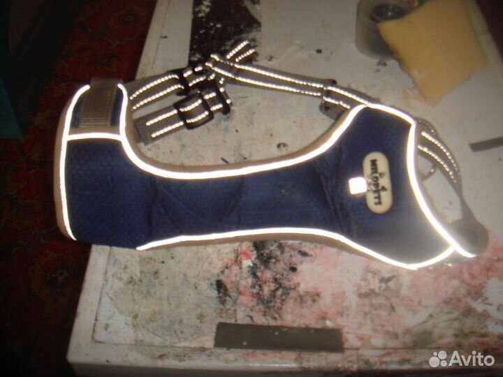 Собачьи шлейки 3шт